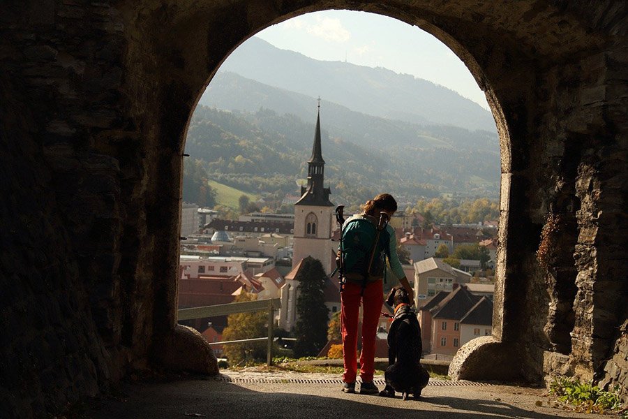 Traveling and hiking with a dog
