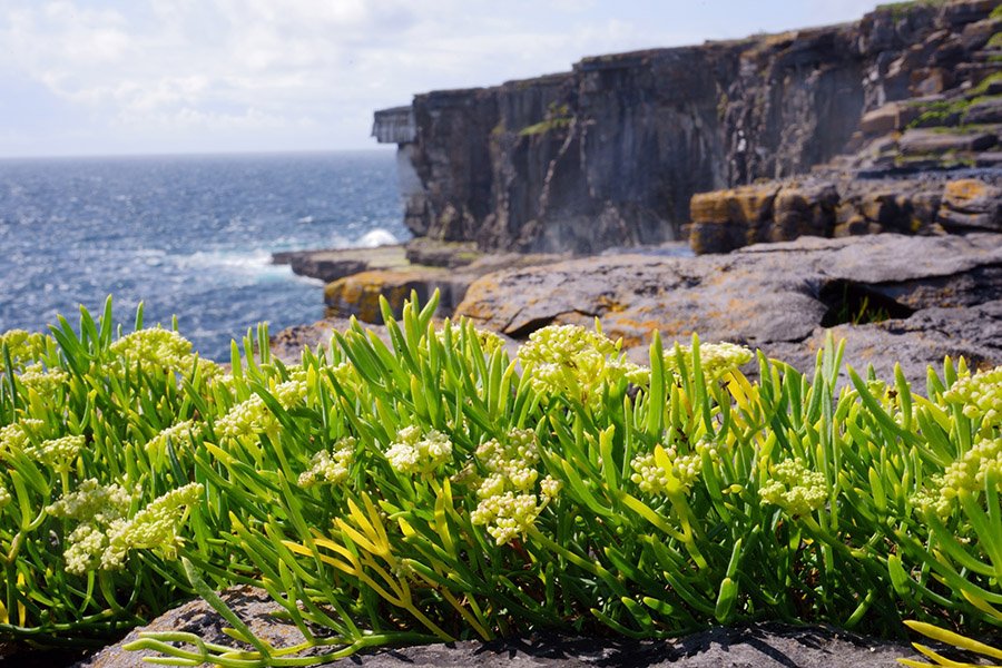 Aran Islands cliffs