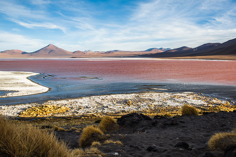 Bolivia Laguna Colorada