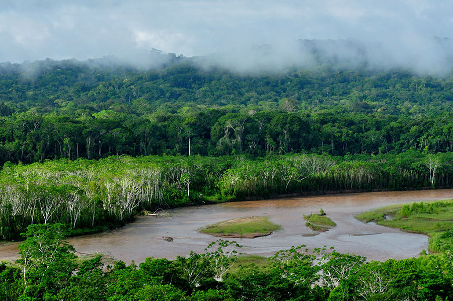 Bolivia Madidi NP
