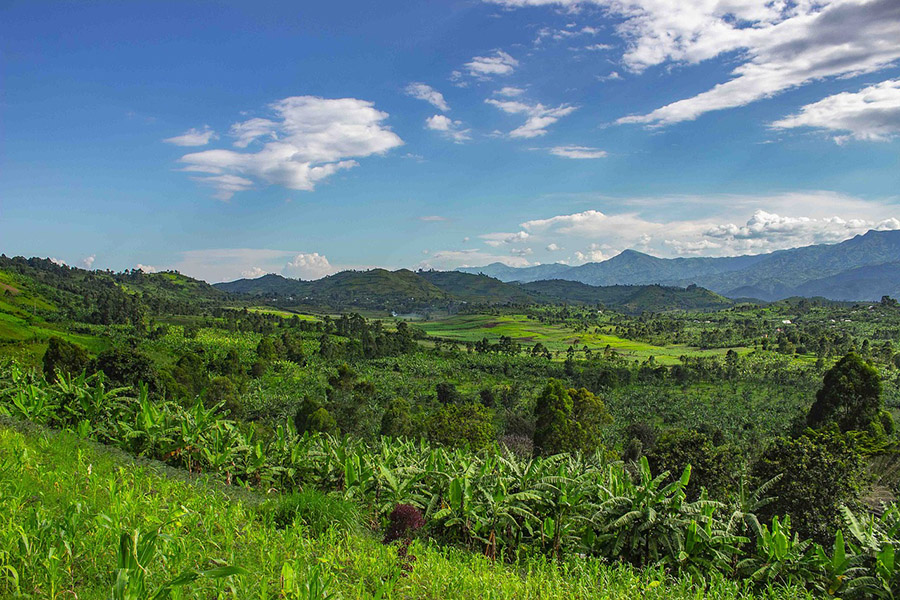 Central Africa Category