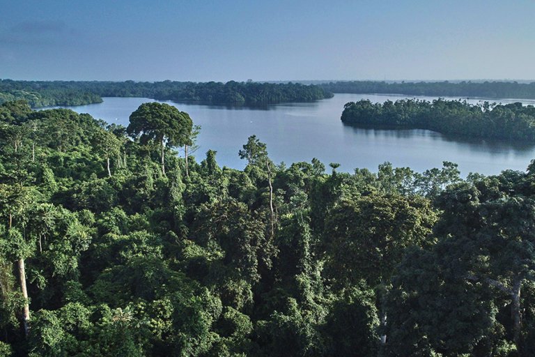 Central Africa Countries