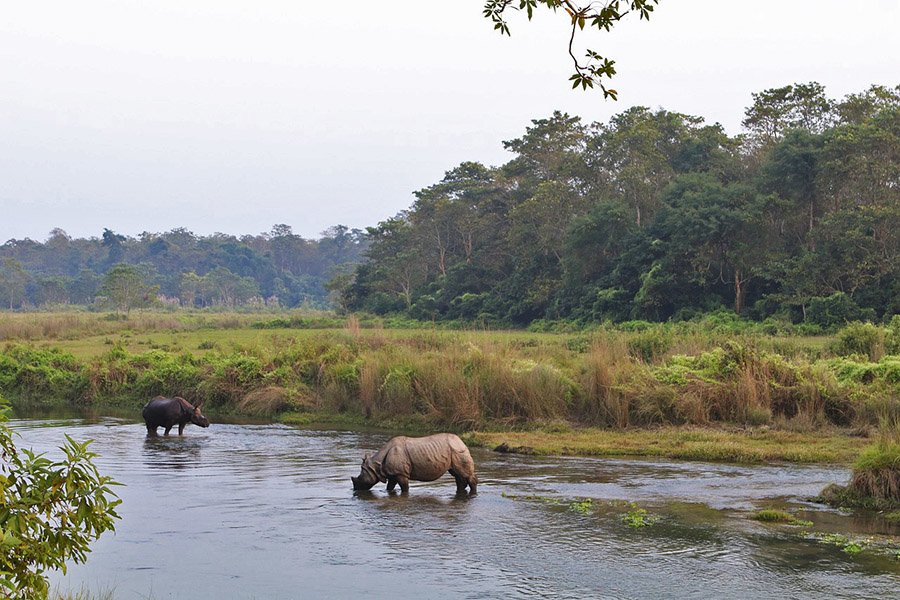 Nepal Chitwan NP