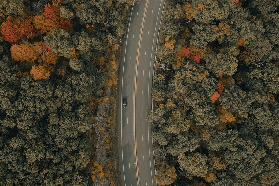 Highway in the forest