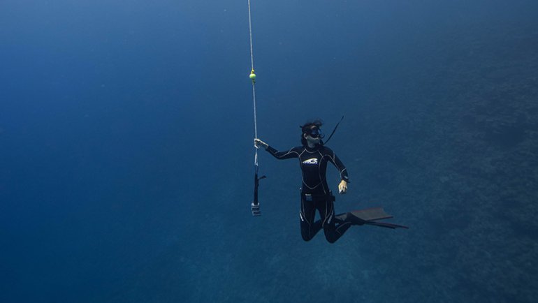 Freediver in a wetsuit in deep water