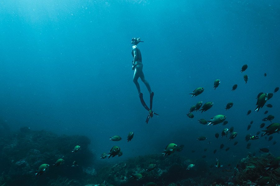 Apnéiste dans l'océan avec des poissons