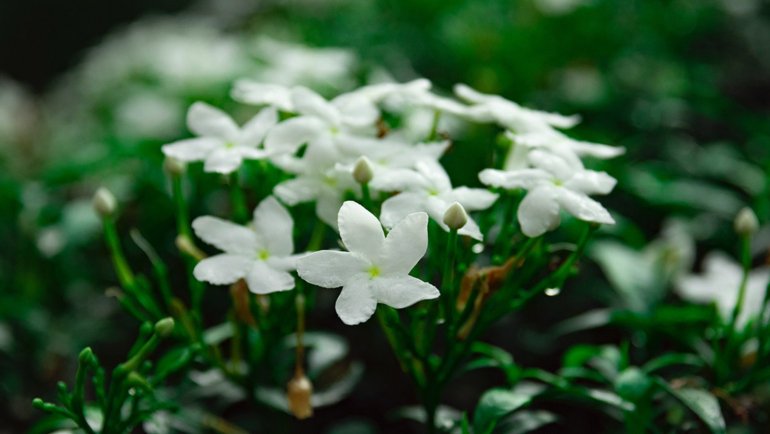 bali travel itinerary