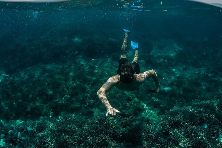 ¿Qué es el Buceo en Apnea y en Qué se Diferencia del Freediving, Snorkel y Buceo?
