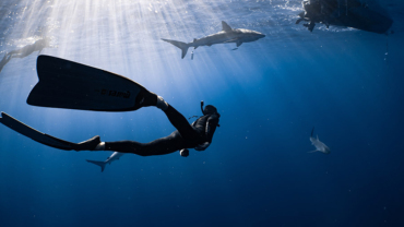 Nude Freediving: Embracing Vulnerability and Connection with Nature