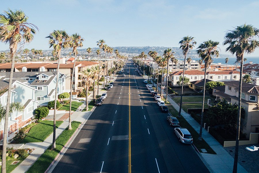 California road and palms