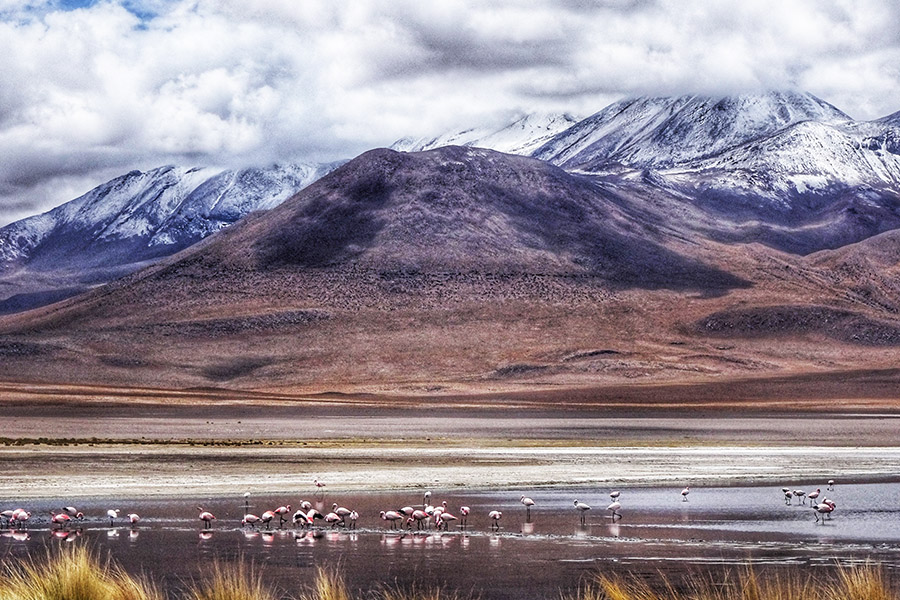 Bolivia high altitude