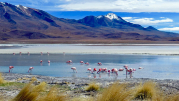 Bolivia regions - Hero