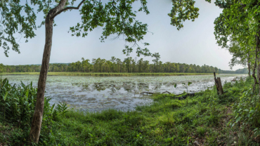 Chitwan National Park - Hero