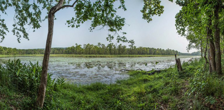Chitwan National Park - Hero