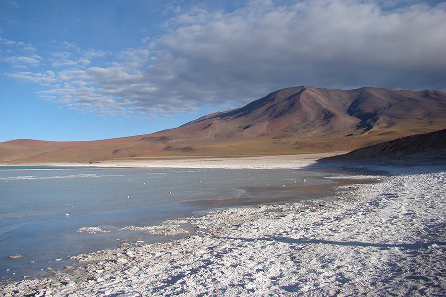 Laguna Verde shore