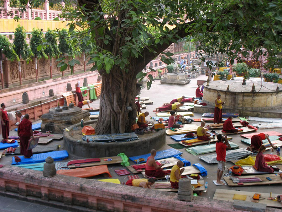Nepal Bodhi Tree in monastery