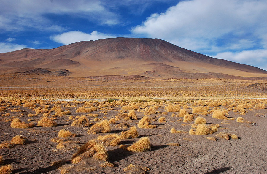 Windy Bolivian Altiplano