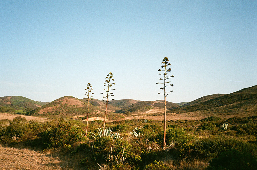 Portugal hilly landscape