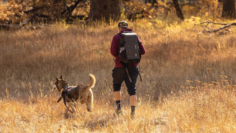 Person hiking with a dog