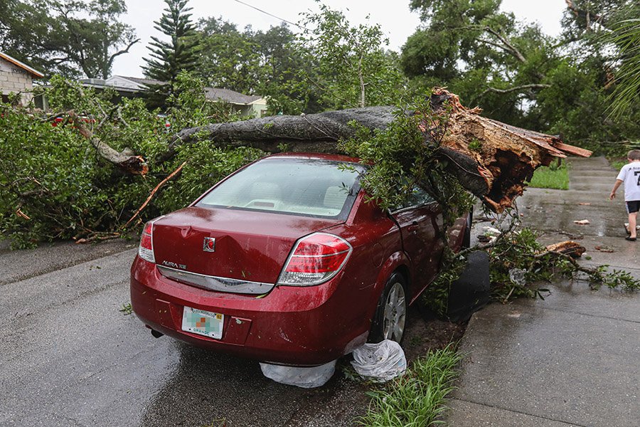 car accident with a tree