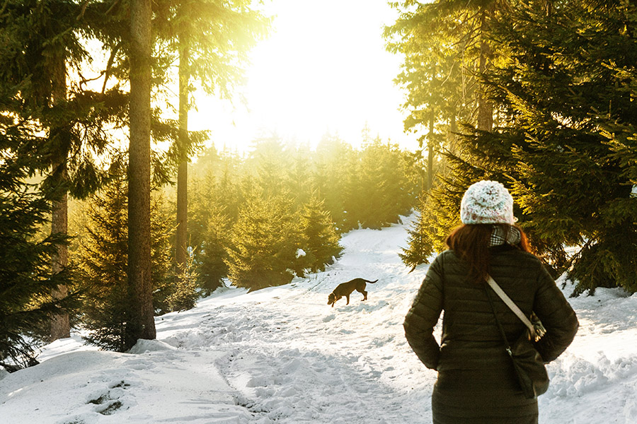 Woman with dog in the forest