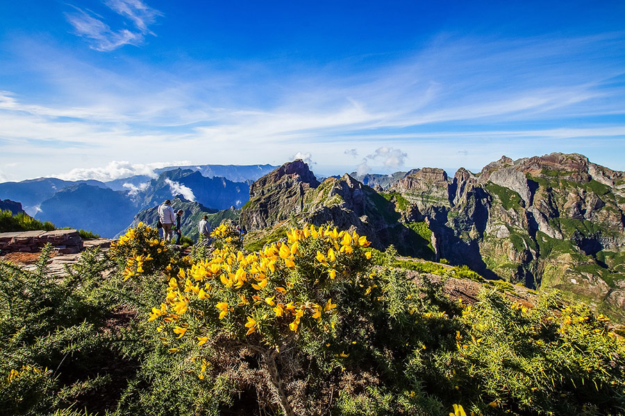 Madeira hiking