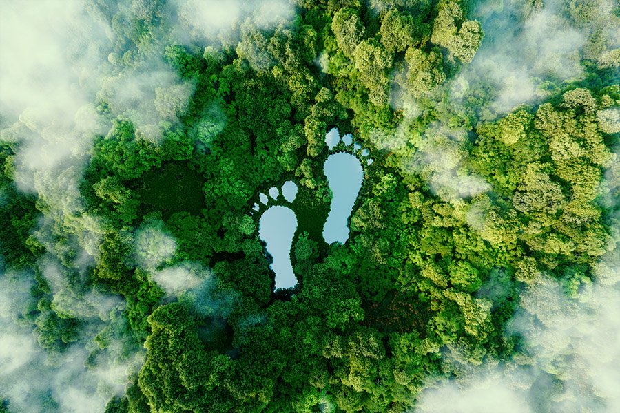 Eco-friendly travel footsteps