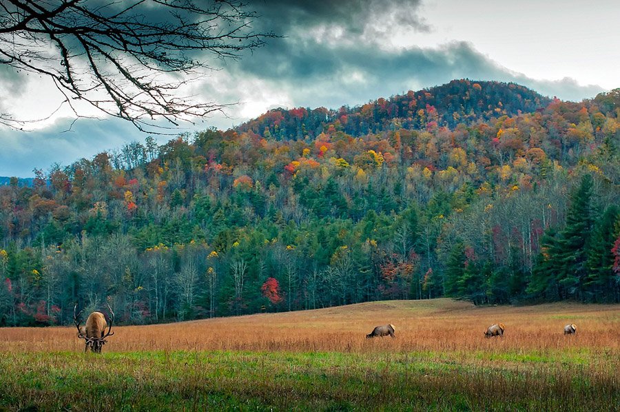 North Carolina landscape
