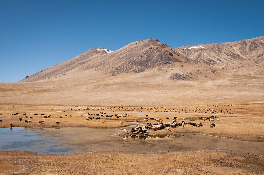 Tajikistan - Murghab Plateau