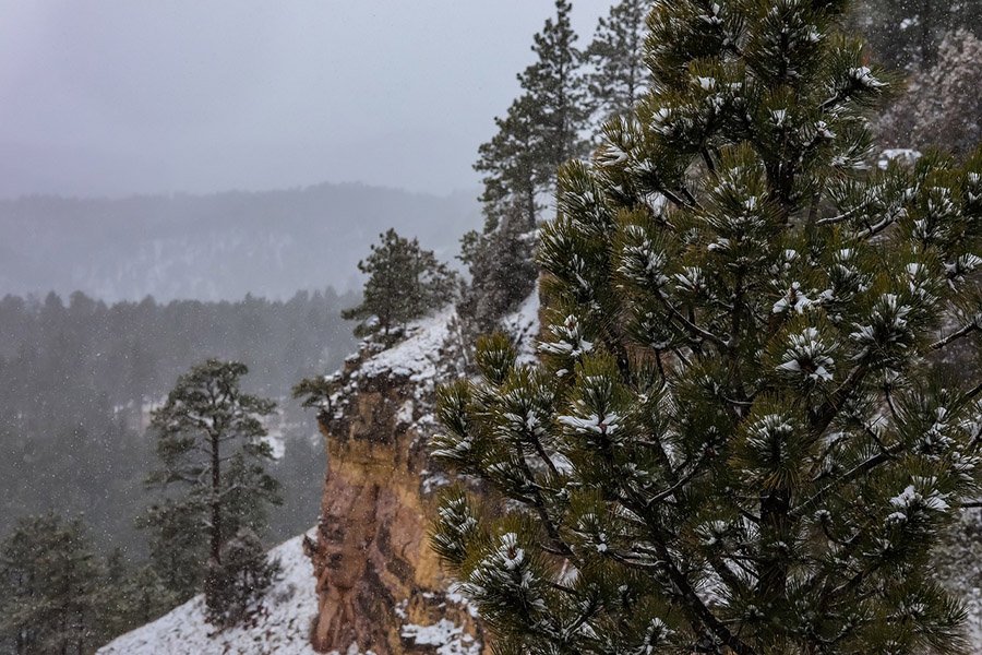 The Blackhills of South Dakota