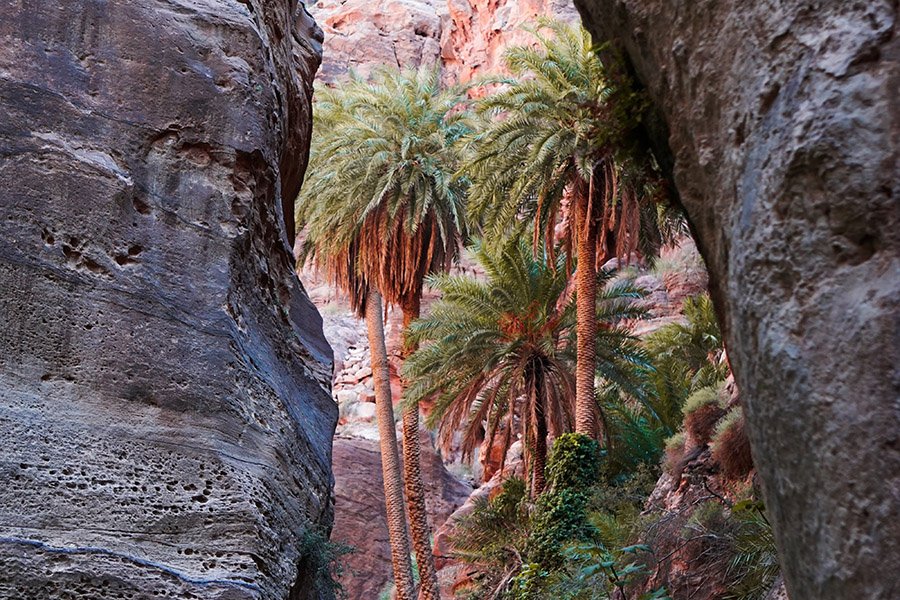 Dana Biosphere Reserve