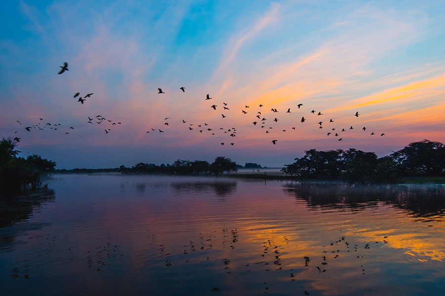 Kakadu National Park