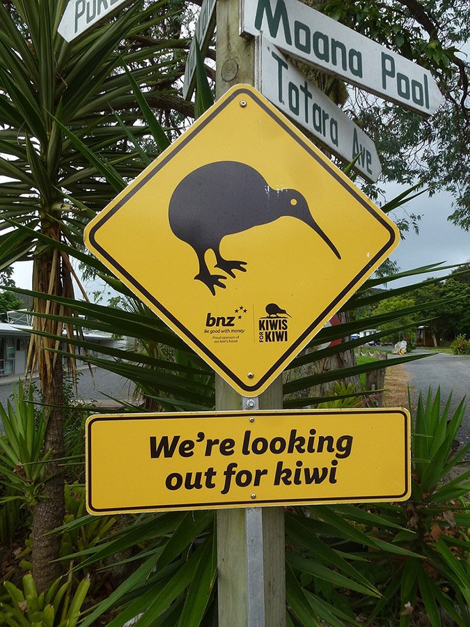 New Zealand Kiwi Road Sign