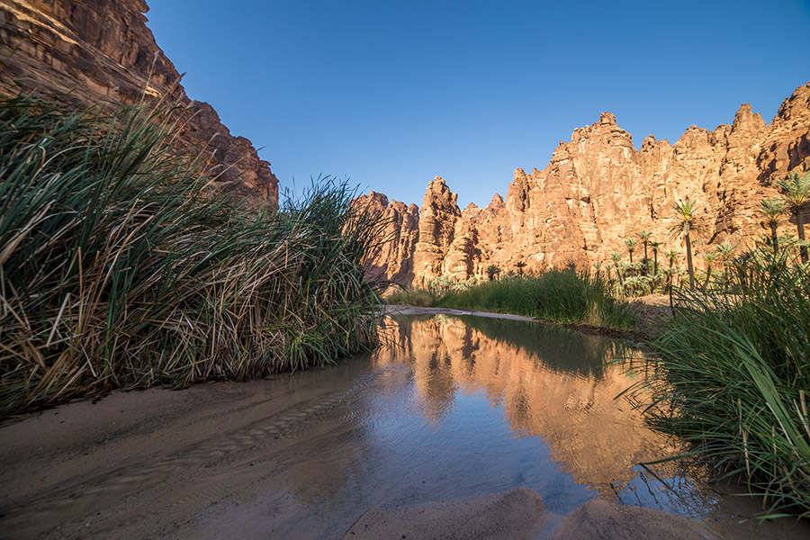Wadi Al Disah