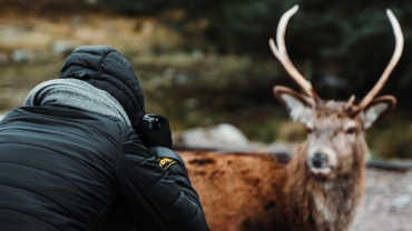 Wildlife photographer