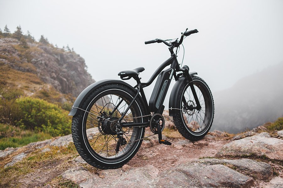 Ebike with fat tires
