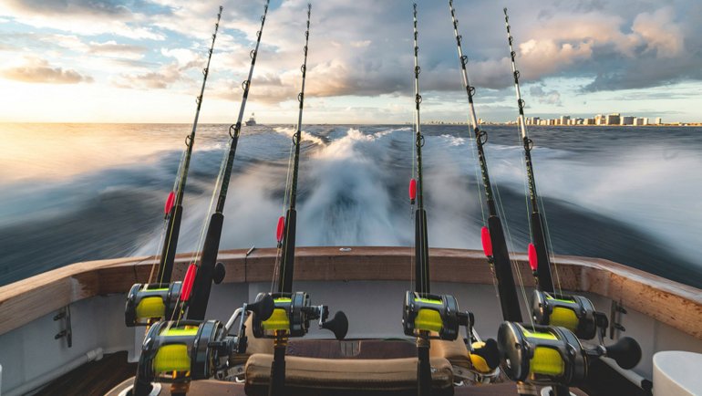 Advantages of a fishing charter