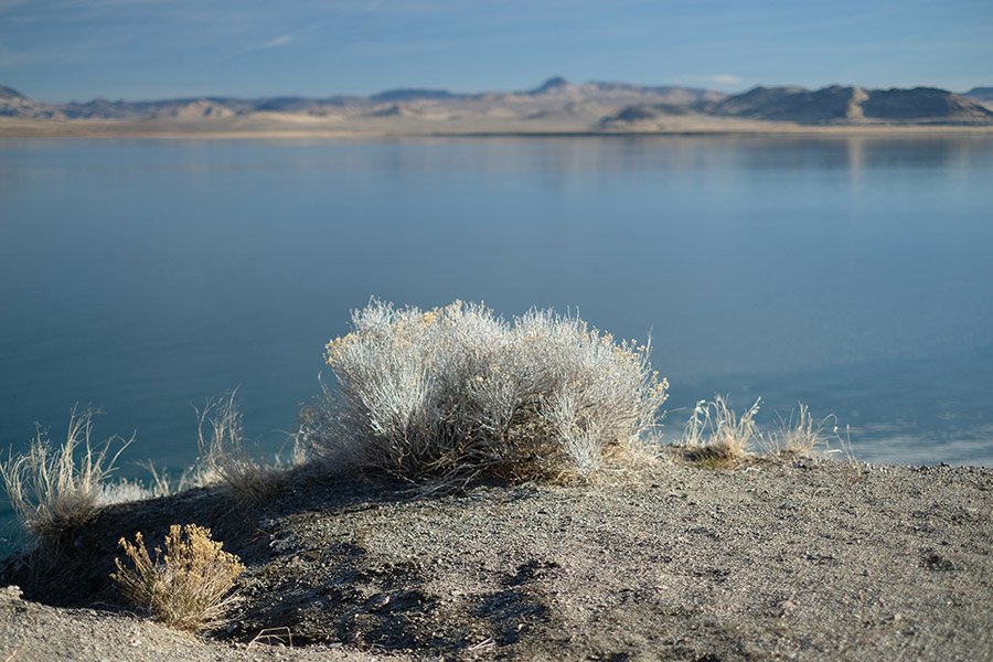 Pyramid Lake in Nevada