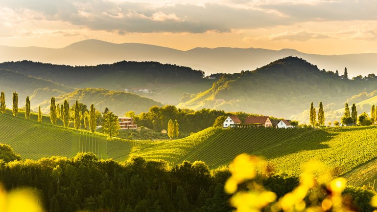 Top vineyards to visit