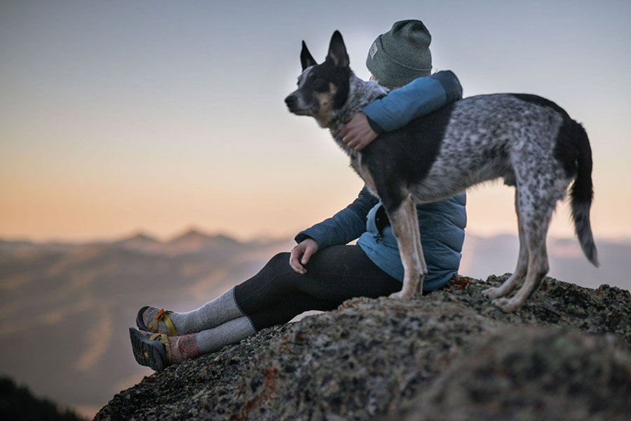 Person enjoying the outdoors with their dog