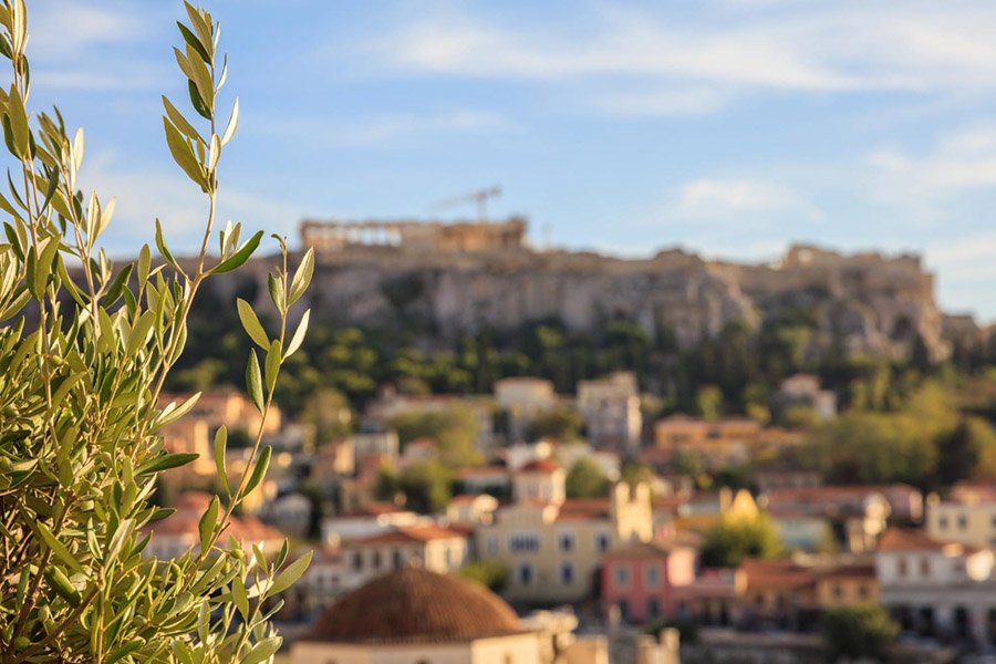 Athens olive tree and Acropolis