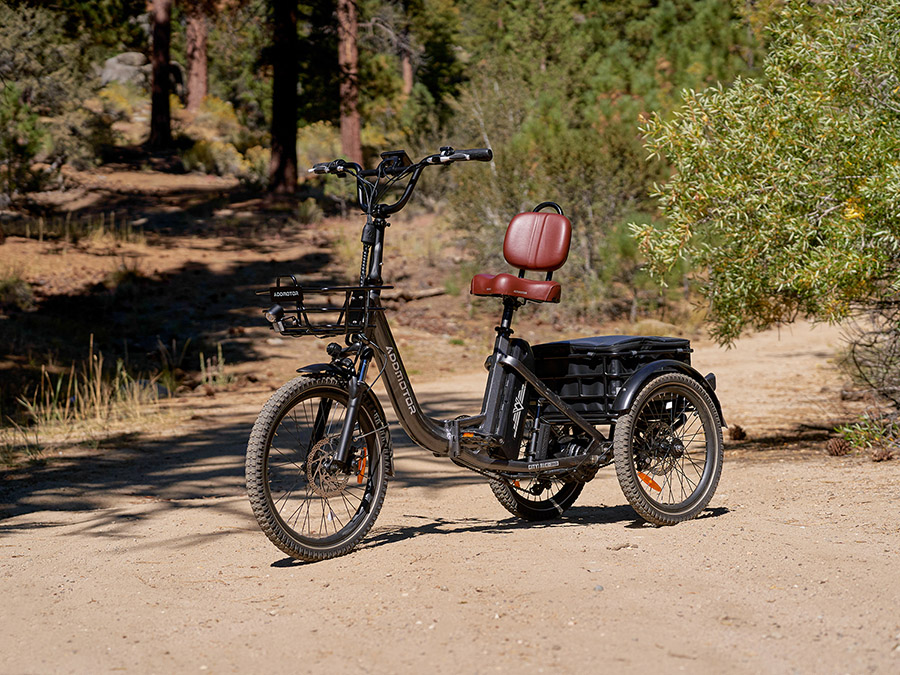 The Addmotor Citytri E-310 e-trike