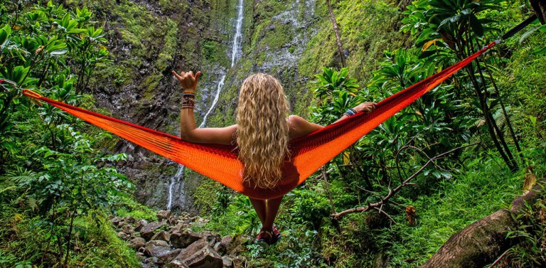 Traveler in greenery