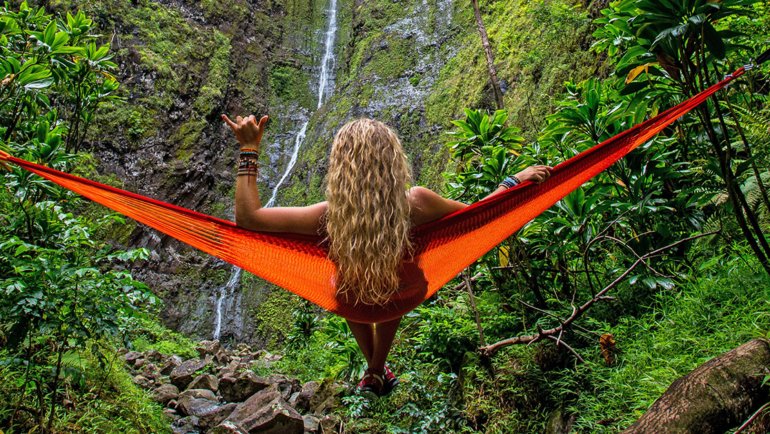 Traveler in greenery