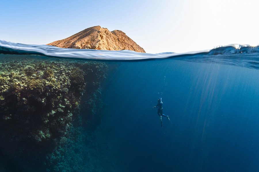 Diving in the Arabian Gulf