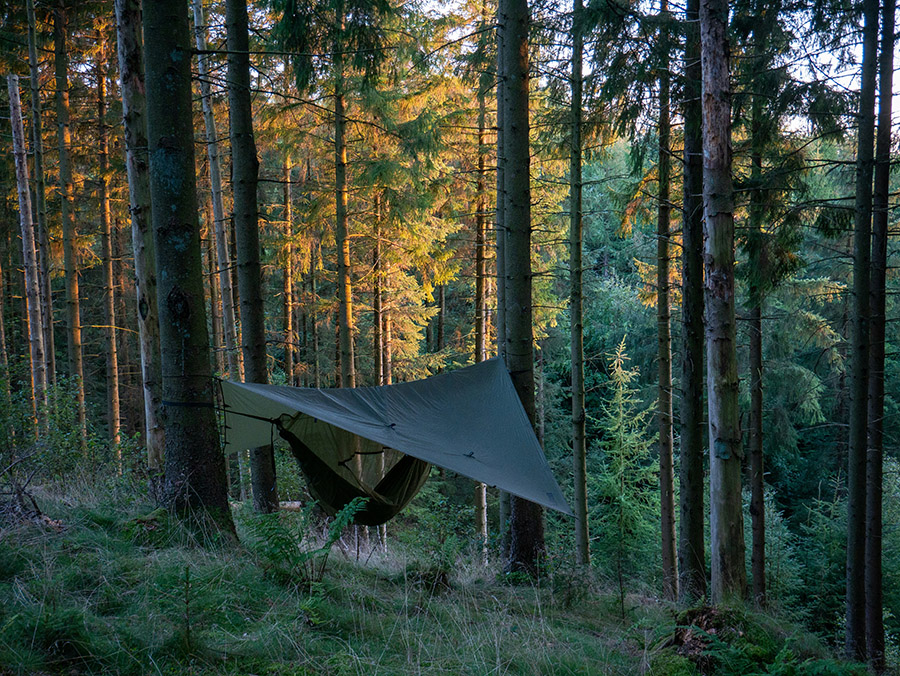 Camping with a tarp in the forest