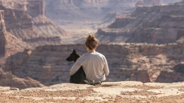 Traveling with a dog