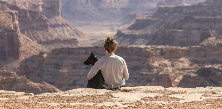 Traveling with a dog