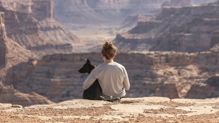 Traveling with a dog