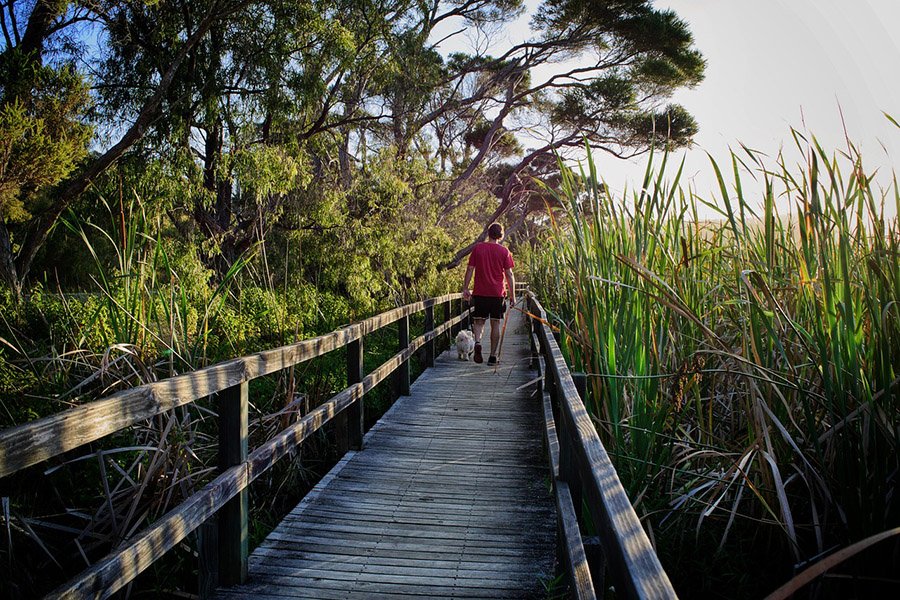 Boardwalk in Albany